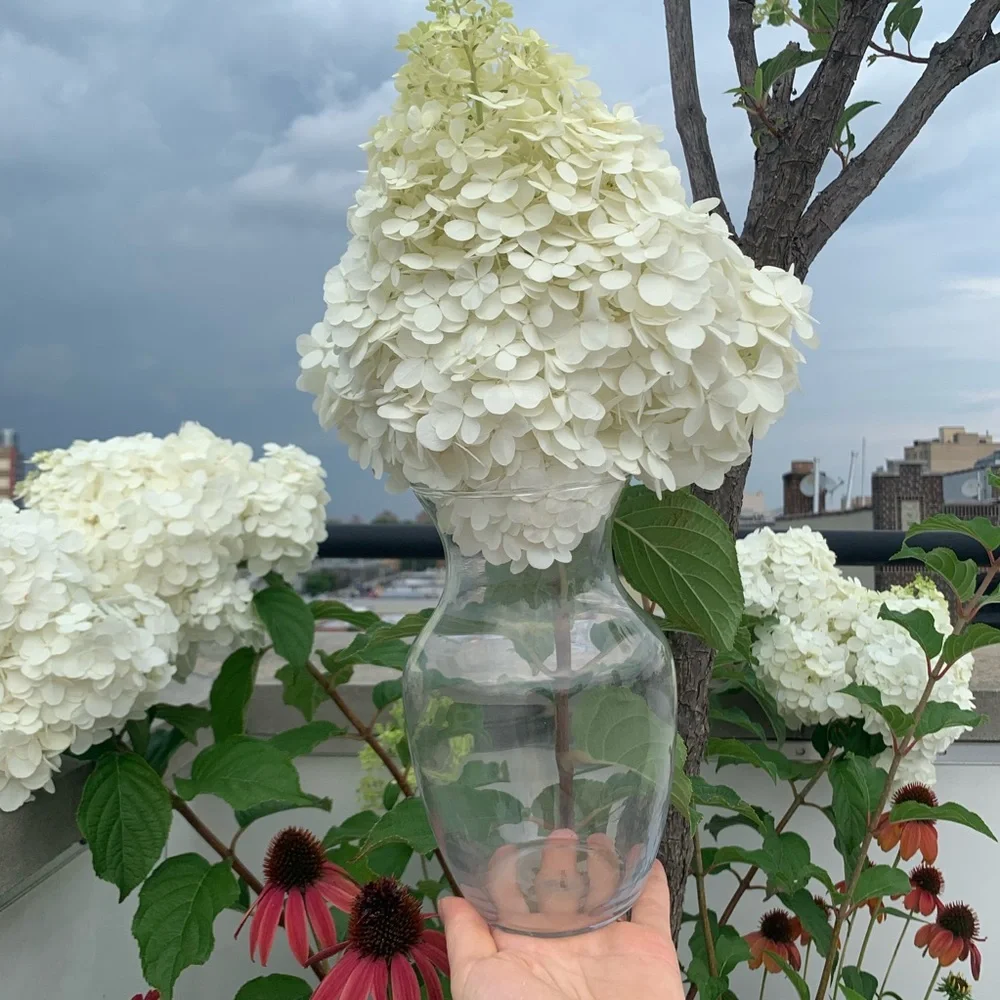 2in1 Glass See Through Floral Vase or Lemonade Water Pitcher